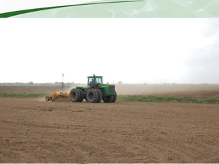 Rice production and research in Suriname