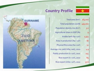 Rice production and research in Suriname