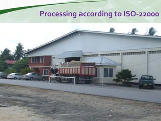 Rice production and research in Suriname