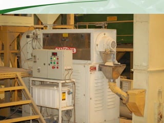 Rice production and research in Suriname