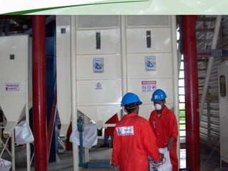 Rice production and research in Suriname