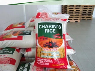 Rice production and research in Suriname