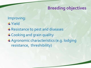 Rice production and research in Suriname