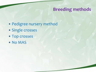 Rice production and research in Suriname