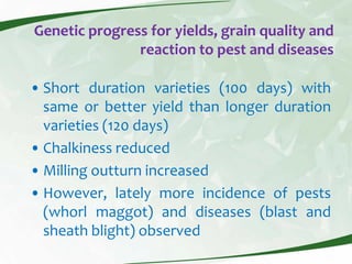 Rice production and research in Suriname