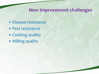 Rice production and research in Suriname