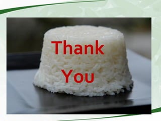 Rice production and research in Suriname