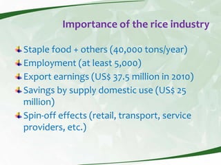 Rice production and research in Suriname