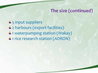 Rice production and research in Suriname