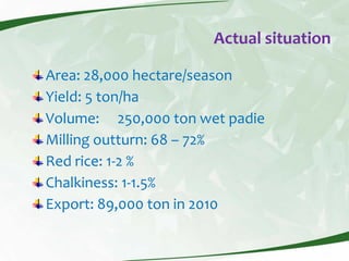 Rice production and research in Suriname