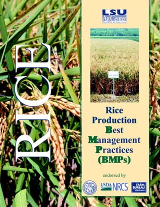 RICERICE
endorsed by
Rice
Production
Rice
Production
BBBBBest
MMMMManagement
PPPPPractices
(BMPs)
 