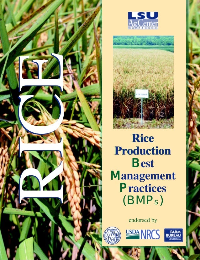 Rice Quality Management – Rice Quality – QAUFZW