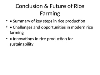 Rice_Production_Presentation from planting to harvesting | PPTX