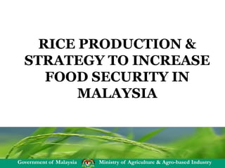 Government of Malaysia Ministry of Agriculture & Agro-based Industry
RICE PRODUCTION &
STRATEGY TO INCREASE
FOOD SECURITY IN
MALAYSIA
 