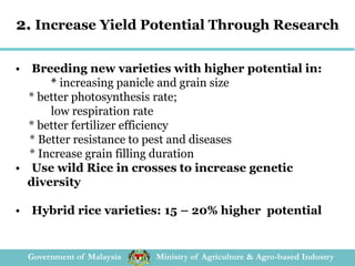 Rice Production and Strategy to Increase Food Security in Malaysia | PDF