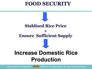 Rice Production and Strategy to Increase Food Security in Malaysia | PDF