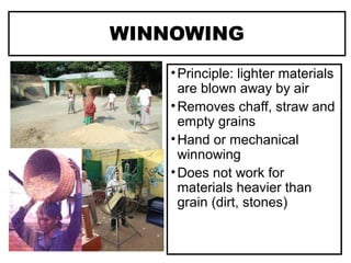 WINNOWING
•Principle: lighter materials
are blown away by air
•Removes chaff, straw and
empty grains
•Hand or mechanical
winnowing
•Does not work for
materials heavier than
grain (dirt, stones)
 