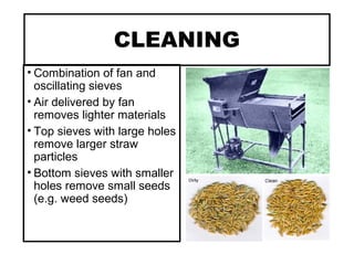 CLEANING
• Combination of fan and
oscillating sieves
• Air delivered by fan
removes lighter materials
• Top sieves with large holes
remove larger straw
particles
• Bottom sieves with smaller
holes remove small seeds
(e.g. weed seeds)
 