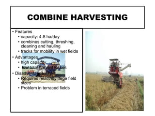 COMBINE HARVESTING
• Features
• capacity: 4-8 ha/day
• combines cutting, threshing,
cleaning and hauling
• tracks for mobility in wet fields
• Advantages
• high capacity
• low total harvest losses
• Disadvantages
• Requires relatively large field
sizes
• Problem in terraced fields
 