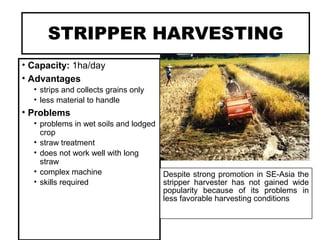 STRIPPER HARVESTING
• Capacity: 1ha/day
• Advantages
• strips and collects grains only
• less material to handle
• Problems
• problems in wet soils and lodged
crop
• straw treatment
• does not work well with long
straw
• complex machine
• skills required
Despite strong promotion in SE-Asia the
stripper harvester has not gained wide
popularity because of its problems in
less favorable harvesting conditions
 