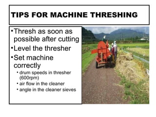 TIPS FOR MACHINE THRESHING
•Thresh as soon as
possible after cutting
•Level the thresher
•Set machine
correctly
• drum speeds in thresher
(600rpm)
• air flow in the cleaner
• angle in the cleaner sieves
 