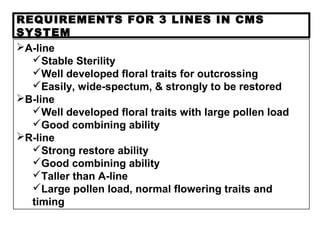 REQUIREMENTS FOR 3 LINES IN CMS
SYSTEM
A-line
Stable Sterility
Well developed floral traits for outcrossing
Easily, wide-spectum, & strongly to be restored
B-line
Well developed floral traits with large pollen load
Good combining ability
R-line
Strong restore ability
Good combining ability
Taller than A-line
Large pollen load, normal flowering traits and
timing
 