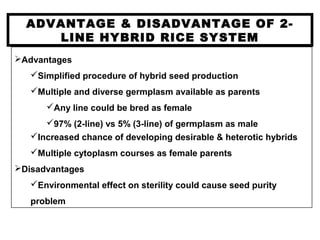 ADVANTAGE & DISADVANTAGE OF 2-
LINE HYBRID RICE SYSTEM
Advantages
Simplified procedure of hybrid seed production
Multiple and diverse germplasm available as parents
Any line could be bred as female
97% (2-line) vs 5% (3-line) of germplasm as male
Increased chance of developing desirable & heterotic hybrids
Multiple cytoplasm courses as female parents
Disadvantages
Environmental effect on sterility could cause seed purity
problem
 