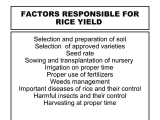 FACTORS RESPONSIBLE FOR
RICE YIELD
Selection and preparation of soil
Selection of approved varieties
Seed rate
Sowing and transplantation of nursery
Irrigation on proper time
Proper use of fertilizers
Weeds management
Important diseases of rice and their control
Harmful insects and their control
Harvesting at proper time
 