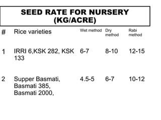 SEED RATE FOR NURSERY
(KG/ACRE)
# Rice varieties Wet method Dry
method
Rabi
method
1 IRRI 6,KSK 282, KSK
133
6-7 8-10 12-15
2 Supper Basmati,
Basmati 385,
Basmati 2000,
4.5-5 6-7 10-12
 