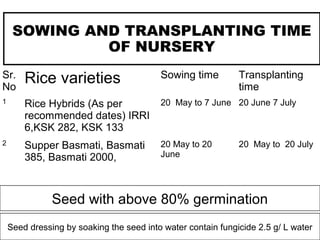 SOWING AND TRANSPLANTING TIME
OF NURSERY
Sr.
No
Rice varieties Sowing time Transplanting
time
1 Rice Hybrids (As per
recommended dates) IRRI
6,KSK 282, KSK 133
20 May to 7 June 20 June 7 July
2 Supper Basmati, Basmati
385, Basmati 2000,
20 May to 20
June
20 May to 20 July
Seed with above 80% germination
Seed dressing by soaking the seed into water contain fungicide 2.5 g/ L water
 