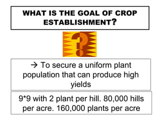 WHAT IS THE GOAL OF CROP
ESTABLISHMENT??
 To secure a uniform plant
population that can produce high
yields
9*9 with 2 plant per hill. 80,000 hills
per acre. 160,000 plants per acre
 