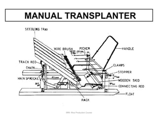 IRRI: Rice Production Course
MANUAL TRANSPLANTER
 