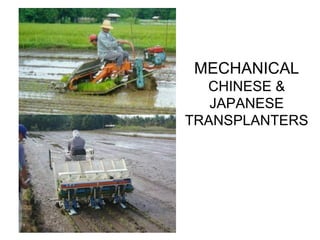 MECHANICAL
CHINESE &
JAPANESE
TRANSPLANTERS
 