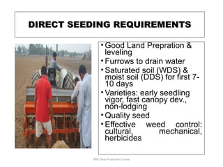 DIRECT SEEDING REQUIREMENTSDIRECT SEEDING REQUIREMENTS
• Good Land Prepration &
leveling
• Furrows to drain water
• Saturated soil (WDS) &
moist soil (DDS) for first 7-
10 days
• Varieties: early seedling
vigor, fast canopy dev.,
non-lodging
• Quality seed
• Effective weed control:
cultural, mechanical,
herbicides
IRRI: Rice Production Course
 