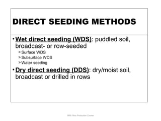 DIRECT SEEDING METHODS
•Wet direct seeding (WDS): puddled soil,
broadcast- or row-seeded
> Surface WDS
> Subsurface WDS
> Water seeding
•Dry direct seeding (DDS): dry/moist soil,
broadcast or drilled in rows
IRRI: Rice Production Course
 