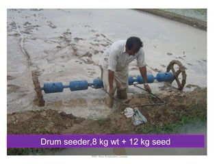 IRRI: Rice Production Course
Drum seeder,8 kg wt + 12 kg seed
 