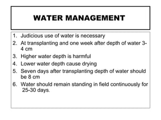 WATER MANAGEMENT
1. Judicious use of water is necessary
2. At transplanting and one week after depth of water 3-
4 cm
3. Higher water depth is harmful
4. Lower water depth cause drying
5. Seven days after transplanting depth of water should
be 8 cm
6. Water should remain standing in field continuously for
25-30 days.
 