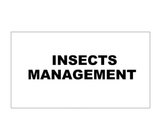 INSECTS
MANAGEMENT
 