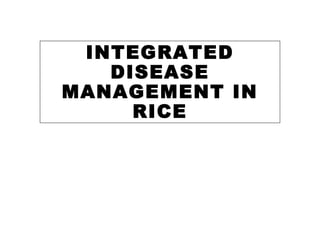 INTEGRATED
DISEASE
MANAGEMENT IN
RICE
 