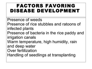 FACTORS FAVORING
DISEASE DEVELOPMENT
Presence of weeds
Presence of rice stubbles and ratoons of
infected plants
Presence of bacteria in the rice paddy and
irrigation canals
Warm temperature, high humidity, rain
and deep water
Over fertilization
Handling of seedlings at transplanting
 