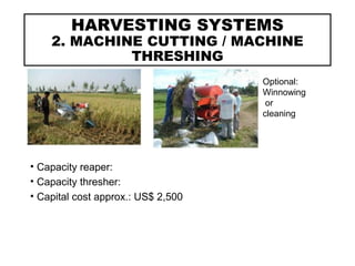 HARVESTING SYSTEMS
2. MACHINE CUTTING / MACHINE
THRESHING
• Capacity reaper:
• Capacity thresher:
• Capital cost approx.: US$ 2,500
Optional:
Winnowing
or
cleaning
 