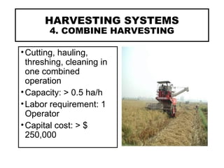 HARVESTING SYSTEMS
4. COMBINE HARVESTING
•Cutting, hauling,
threshing, cleaning in
one combined
operation
•Capacity: > 0.5 ha/h
•Labor requirement: 1
Operator
•Capital cost: > $
250,000
 
