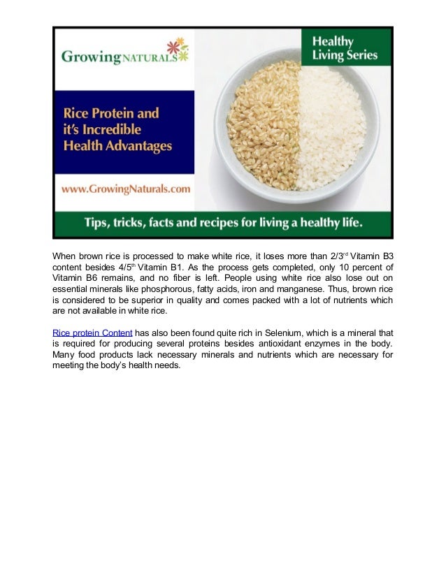 Rice protein content