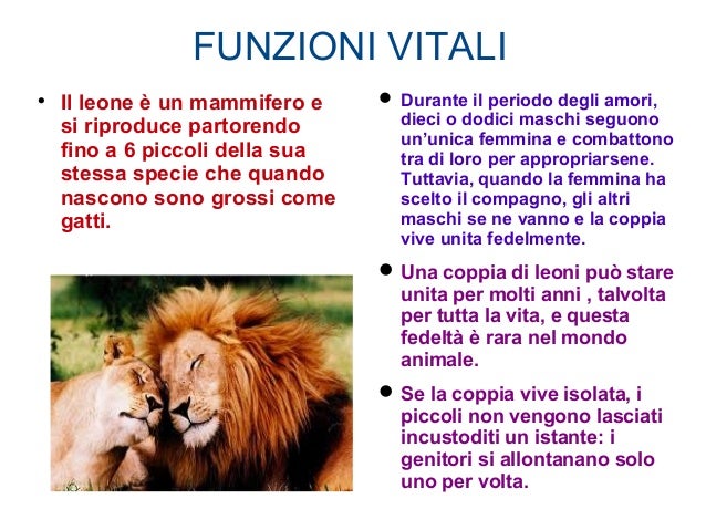 Ricerca Di Scienze Classi Quarte