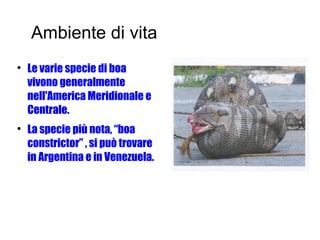 Ambiente di vita

Le varie specie di boa
vivono generalmente
nell'America Meridionale e
Centrale.

La specie più nota, “boa
constrictor” , si può trovare
in Argentina e in Venezuela.
 