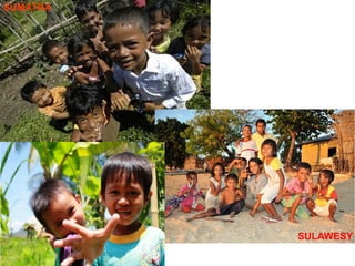 SUMATRA
SULAWESY
 