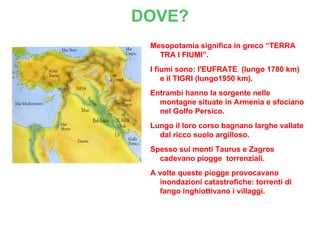 DOVE?
 Mesopotamia significa in greco “TERRA
   TRA I FIUMI”.
 I fiumi sono: l'EUFRATE (lungo 1780 km)
     e il TIGRI (lungo1950 km).
 Entrambi hanno la sorgente nelle
   montagne situate in Armenia e sfociano
   nel Golfo Persico.
 Lungo il loro corso bagnano larghe vallate
   dal ricco suolo argilloso.
 Spesso sui monti Taurus e Zagros
   cadevano piogge torrenziali.
 A volte queste piogge provocavano
   inondazioni catastrofiche: torrenti di
   fango inghiottivano i villaggi.
 