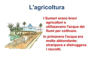 L'agricoltura
     I Sumeri erano bravi
       agricoltori e
       utilizzavano l'acqua dei
       fiumi per coltivare.
     In primavera l'acqua era
       molto abbondante:
       straripava e distruggeva
       i raccolti.
 