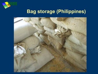 Magkono Rice Storage Rice_storage systems and its technology.ppt