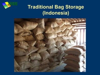 Bangan Rice Storage Rice_storage systems and its technology.ppt